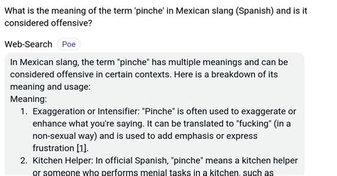 meaning of pinche in spanish|More.